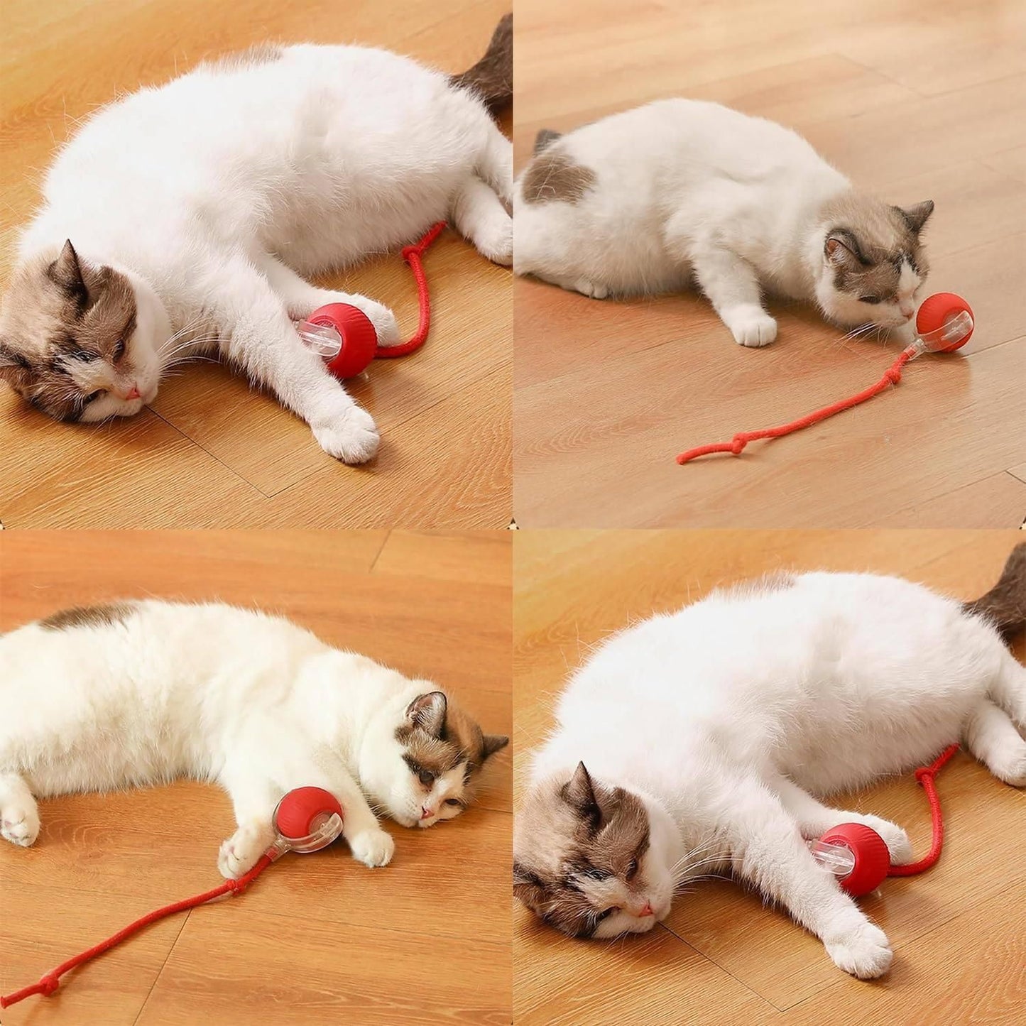 Interactive Rolling Cat Ball Toy – Smart Motion-Activated Toy for Indoor Cats | Rechargeable & Self-Rotating with LED Lights