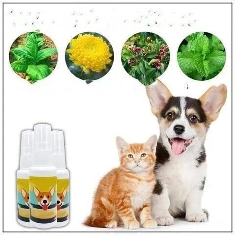 Natural Potty Training Spray for Dogs & Cats – 2-Pack (30ml Each) | Safe House-Training Aid for Indoor & Outdoor Use