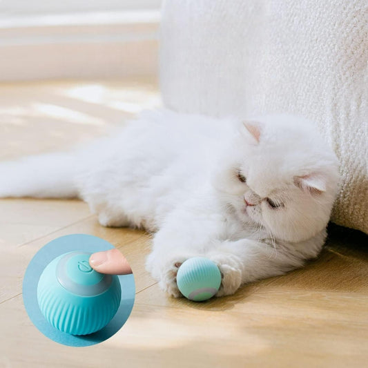 Rechargeable Rotating Cat Toy Ball – Interactive Motion Ball with LED Lights for Indoor Play & Exercise