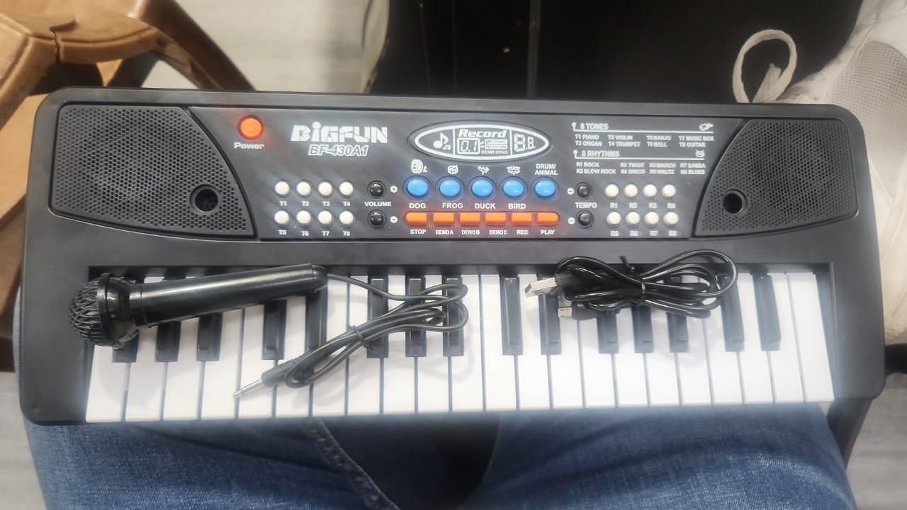 37-Key Portable Piano Keyboard Toy with Microphone – USB Powered, Sound Recording, and Music Playback | Educational Musical Toy for Kids