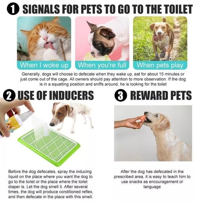 Natural Potty Training Spray for Dogs & Cats – 2-Pack (30ml Each) | Safe House-Training Aid for Indoor & Outdoor Use