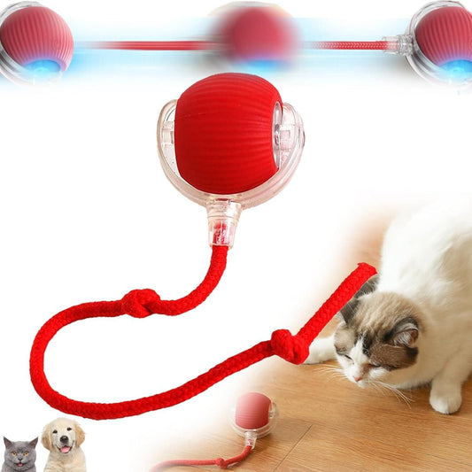 Interactive Rolling Cat Ball Toy – Smart Motion-Activated Toy for Indoor Cats | Rechargeable & Self-Rotating with LED Lights
