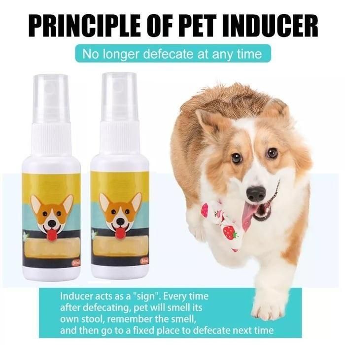 Natural Potty Training Spray for Dogs & Cats – 2-Pack (30ml Each) | Safe House-Training Aid for Indoor & Outdoor Use