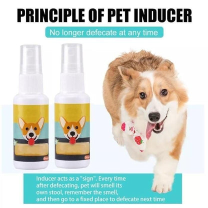 Natural Potty Training Spray for Dogs & Cats – 2-Pack (30ml Each) | Safe House-Training Aid for Indoor & Outdoor Use