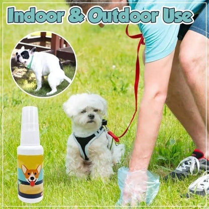 Natural Potty Training Spray for Dogs & Cats – 2-Pack (30ml Each) | Safe House-Training Aid for Indoor & Outdoor Use